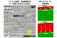今回の研究の概要。（画像: 東京大学の発表資料より）