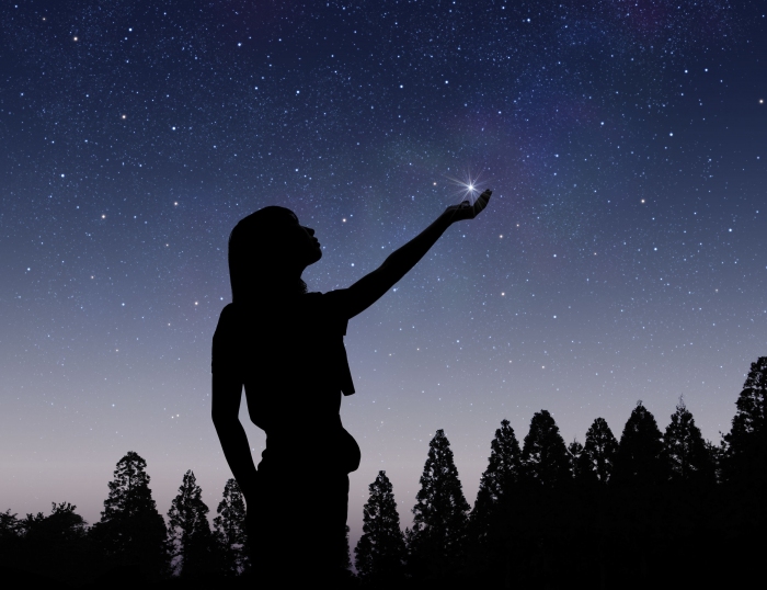 画像はイメージです。