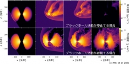 銀河中心ブラックホールを取り巻くガスの時間進化。上段にガスが剥ぎ取られる場合、下段はガスが生き残る場合（画像: 東京大学の発表資料より）