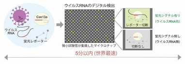SATORI法によるウイルスRNAのデジタル検出原理（画像: 理化学研究所の発表資料より）