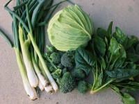 ポケットマルシェが「産直EC利用実態に関する調査」。コロナ禍で生産者の直販利用が加速、販路拡大ニーズで産直EC利用が拡大