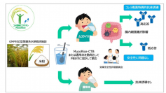 飲むワクチン「ムコライス」