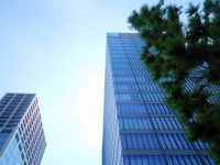 リクルートスタッフィングが「企業における障がい者雇用の実態調査」。法定雇用率引き上げを受け、採用を増やす企業約4割