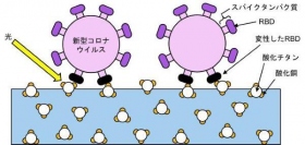 開発された光触媒が新型コロナウイルスを不活化する模式図（画像: 東京大学の発表資料より）