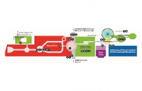 パレットタウンの位置図（森ビル発表資料より）