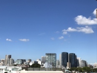 東京商工リサーチが8月31日、「新型コロナウイルス」関連破たんが累計2000件に達したと発表。倒産件数は7カ月で倍。発生ペースが加速。宣言発出や重点措置のない地域で増加率が高まっている。