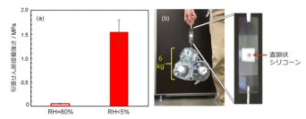 湿潤状態と乾燥状態の引張せん断接着強さ（左）と、スライドガラスの間にシリコーンを挟み、6kgのおもりを持ち上げている瞬間（右）。（画像: 名古屋大学の発表資料より）