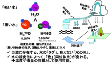 重い水の概念図（画像: 東京大学の発表資料より）