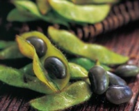 3者連携で、未収穫残となっている京丹波の「黒枝豆」の収穫を支援。フードロス低減を目指す