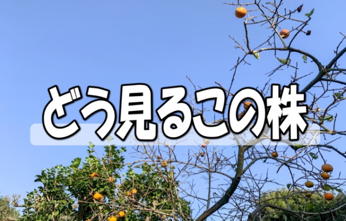 東海ソフト<4430>(東1)は独立系のソフトウェア開発会社である。22年5月期は需要が高水準に推移して増収、営業・経常増益予想としている。第1四半期は大幅増益で過去最高の経常利益だった。第1四半期の進捗率が順調であり、通期ベースでも収益拡大を期待したい。株価は上値の重い展開だが、調整一巡して出直りを期待したい。 東海ソフト<4430>(東1)は独立系のソフトウェア開発会社である。22年5月期は需要が高水準に推移して増収、営業・経常増益予想としている。第1四半期は大幅増益で過去最高の経常利益だった。第1四半期の進捗率が順調であり、通期ベースでも収益拡大を期待したい。株価は上値の重い展開だが、調整一巡して出直りを期待したい。