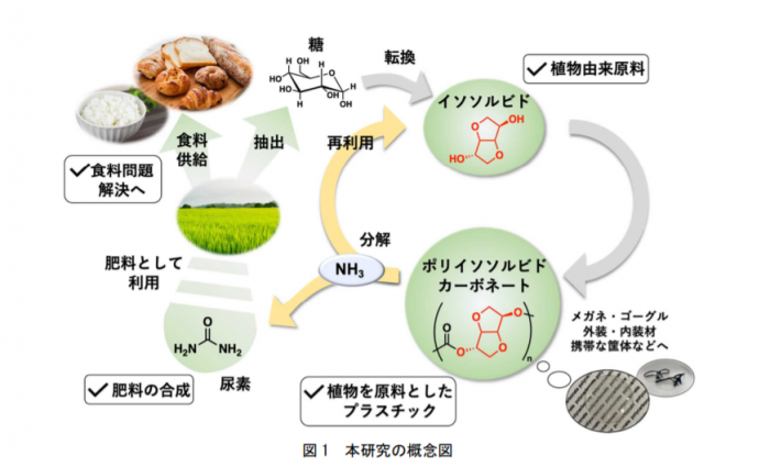 今回の研究の概要（画像: 東京工業大学）