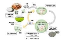 今回の研究の概要（画像: 東京工業大学）