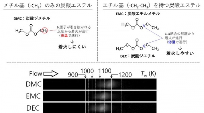 炭酸エステルの着火過程の模式図とマイクロフローリアクタにおける微弱火炎画像（エチル基を持つEMCとDECの方がメチル基のみのDMCより低温側に反応帯が位置する＝着火しやすい）（画像: 東北大学の発表資料より）