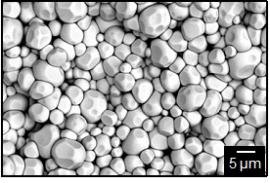低温で粒成長した酸化セリウム(画像: 東北大学の発表資料より) 低温で粒成長した酸化セリウム(画像: 東北大学の発表資料より)