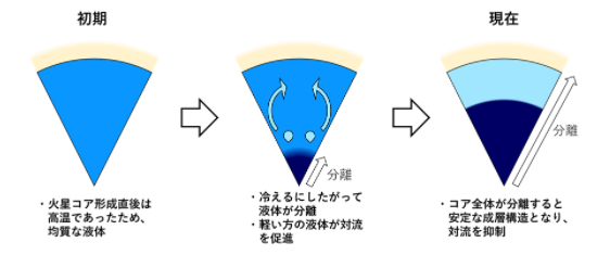 液体の分離によるコアの対流の促進と抑制の概略図。（画像：東京大学の発表資料より）