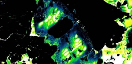 チェリャビンスク隕石の顕微鏡写真　クレジット：Craig Walton