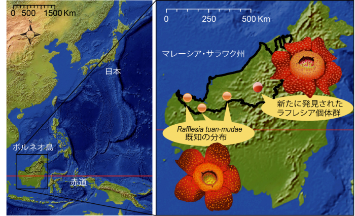 新たに発見された個体群の位置。（画像：国立環境研究所の発表資料より）