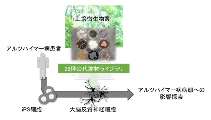 今回の研究の概要（画像: 京都大学の発表資料より）