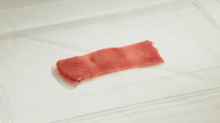 作成された培養肉。色は食用色素による着色である。（画像：東京大学の発表資料より）