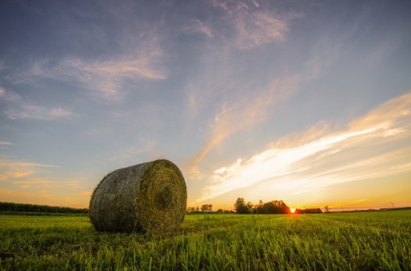 夕日のまち、北海道長沼町にも「フェアフィールド・バイ・マリオット・北海道長沼マオイの丘公園」がオープン