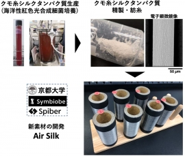研究の概要(画像:京都大学報道発表資料より) 研究の概要(画像:京都大学報道発表資料より)