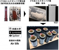 研究の概要（画像:京都大学報道発表資料より）