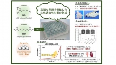 今回の研究の概要（画像: 名古屋大学の発表資料より）