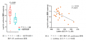 アスリート群と一般男性群の腸内B. uniformis菌数（左グラフ）と、アスリート群の腸内 B. uniformis 菌数と3,000m走行タイムの相関（右グラフ）（画像: 慶應義塾大学の発表資料より）