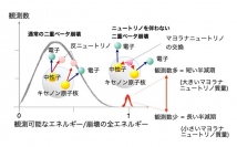 通常の2重ベータ崩壊とニュートリノを伴わない二重ベータ崩壊の違い。後者の現象が確認されればマヨラナニュートリノの存在が確実となる。（画像: 東北大学の発表資料より）