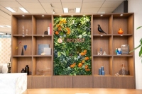 （画像: ランドネットの発表資料より）