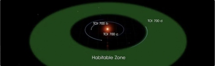 TOI-700系のハビタブルゾーン。新たに発見されたTOI-700 eは、この画像には写っていないが、ハビタブルゾーンの内縁に沿って周回している。(c)  NASA ゴダード宇宙飛行センター
