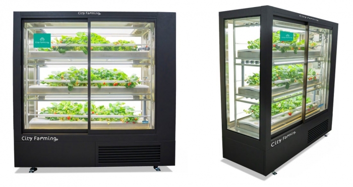 City Farming（画像：日本出版販売の発表資料より）