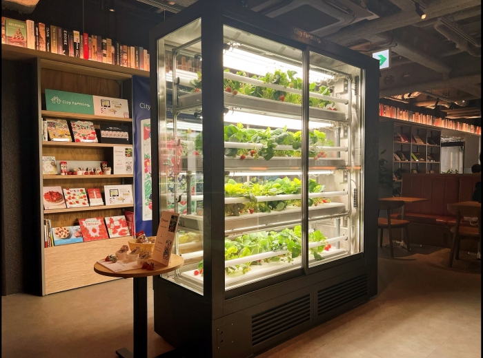 TSUTAYA BOOKSTORE下北沢での導入の様子（画像：日本出版販売の発表資料より）