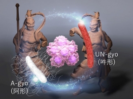 UN（A-gyoとUN-gyoから成る複合細菌）が"阿吽の呼吸"によって癌細胞を倒しているイメージ。（画像: 北陸先端科学技術大学院大学の発表資料より）