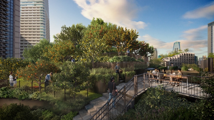 建物屋上に誕生する果樹園のイメージ