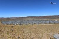 電波望遠鏡「HERA」 (c) 南アフリカ電波天文台（SARAO）