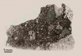 今回分析された月の隕石。（画像: ウェスタンオンタリオ大学の発表資料より。Tara Hayden photo）