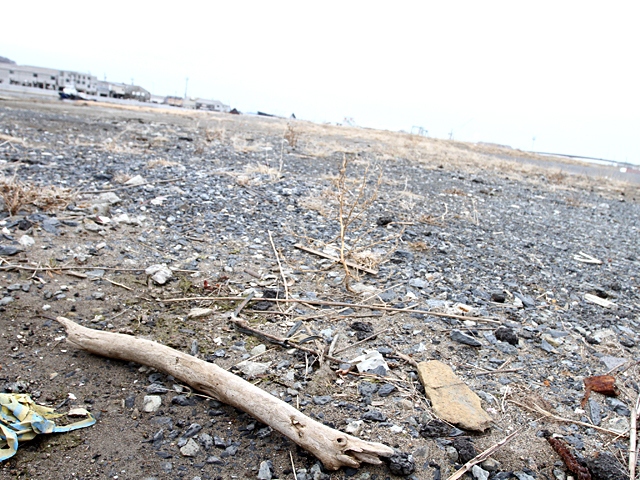 14日には岸田総理が石川県輪島市と珠洲市を訪れ、避難所の視察など、現地の今の状況を確認した