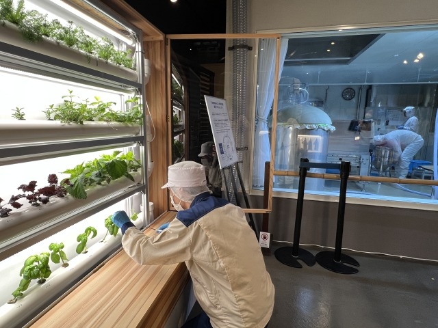 「HAKUTSURU SAKE CRAFT(ハクツル サケ クラフト)」の酒造りの様子は、ガラス越しに一般公開されており、スケジュールが合えば見学可能だ