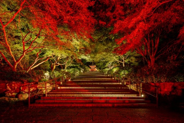 大阪府箕面市の勝尾寺　「宵まかせ」の灯りの演出によって、夜は一段と美しく幻想的に彩られる　