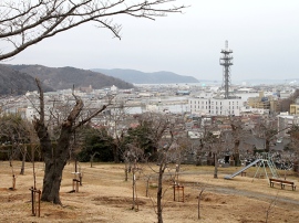 実は「田舎の工房」が最強の輸出企業。海外EC比率30%超、職人たちの逆襲