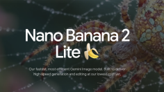 Nano Banana 2 Lite (Google.com)