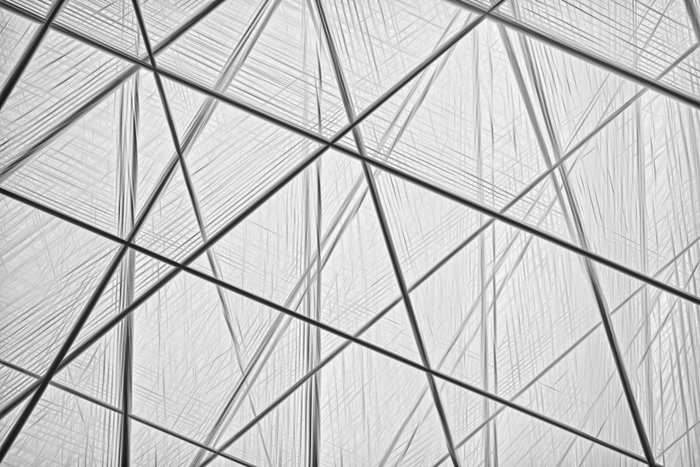 Photo by Robert Clark on Unsplash Photo by Robert Clark on Unsplash