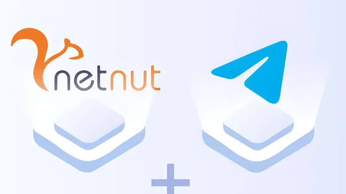 (Netnut.io)