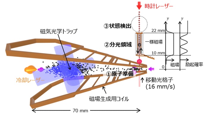 今回の研究成果の概要を示す図（研究成果の発表資料より）