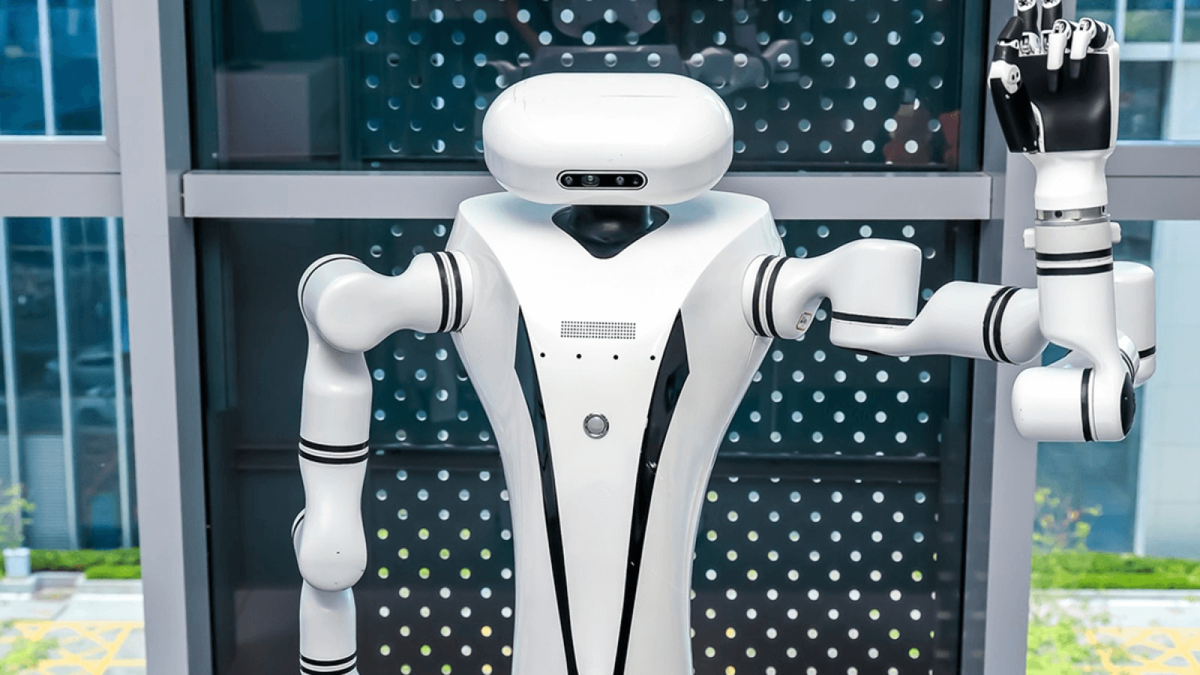 (D-robotics.cc)