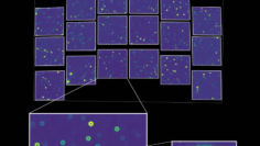 (NASA’s Goddard Space Flight Center, Tyler Desjardins STScI)