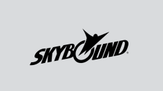 (Skybound.com)