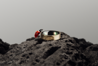 スマートリングメーカーのOuraは、新規株式公開（IPO）を延期すると発表した。（写真提供：Oura）