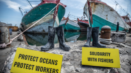 (Greenpeace.org) (Greenpeace.org)